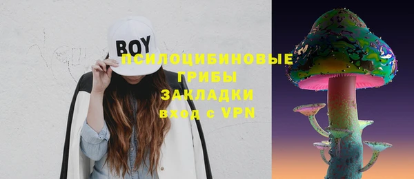 соль курить ск Арсеньев
