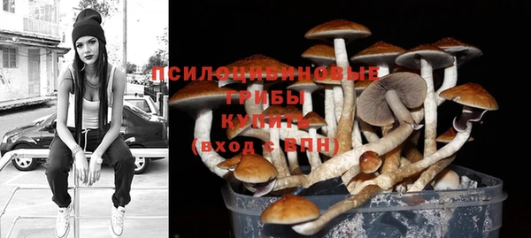 а пвп мука Аркадак